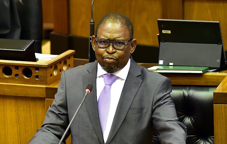 Finance minister Enoch Godongwana during his medium-term budget policy statement in Parliament on November 11 2021. Picture: GCIS/ELMOND JIYANE