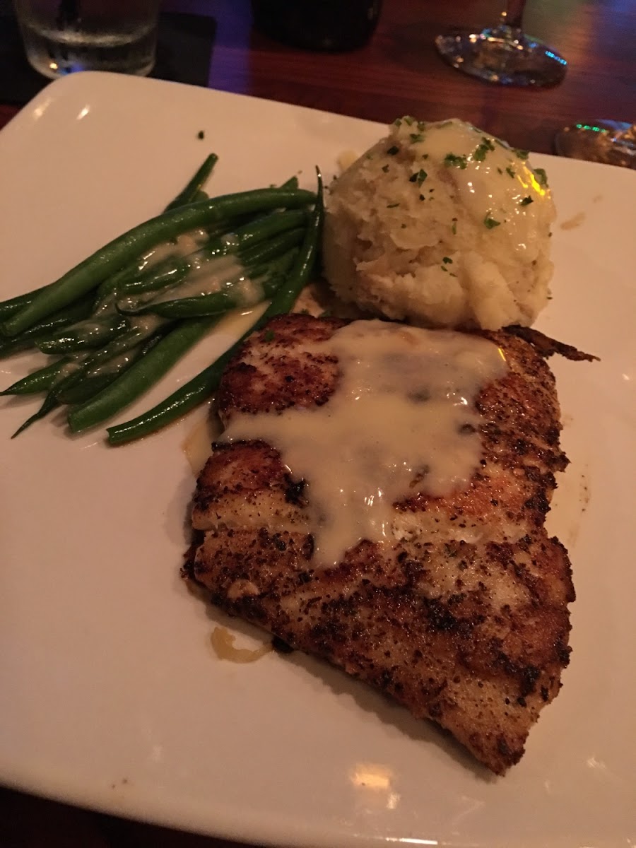 Florida black grouper