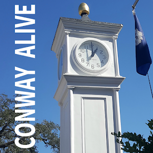 Download Conway Alive For PC Windows and Mac