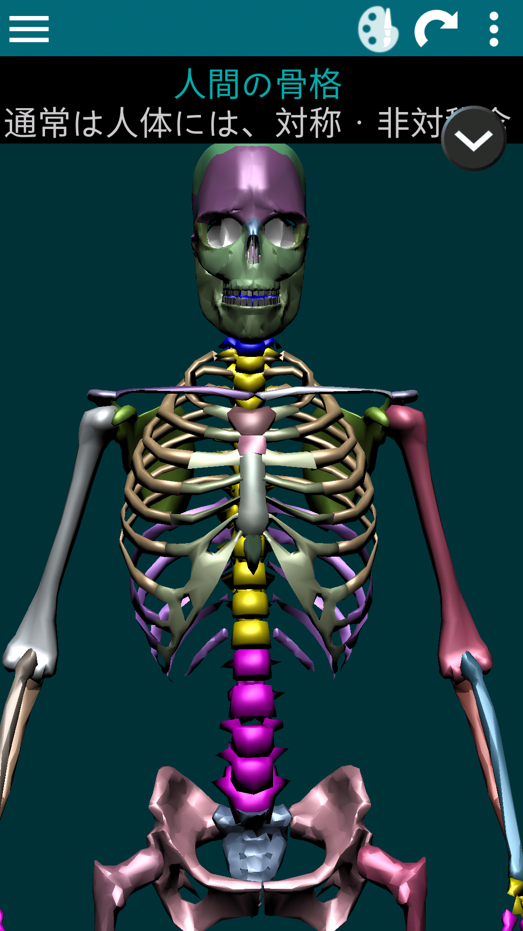 Android application Osseous System in 3D (Anatomy) screenshort