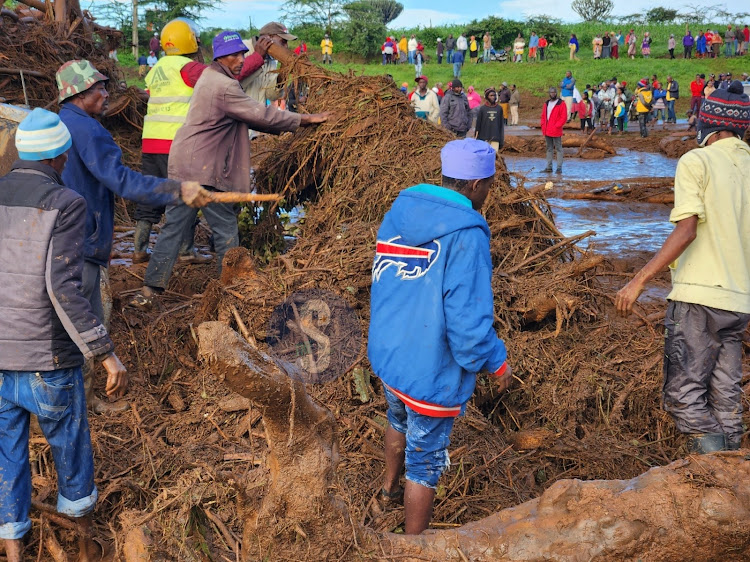 Residents pulling out a tree that fell after the dam tragedy in Mai Mahiu on April 29, 2024