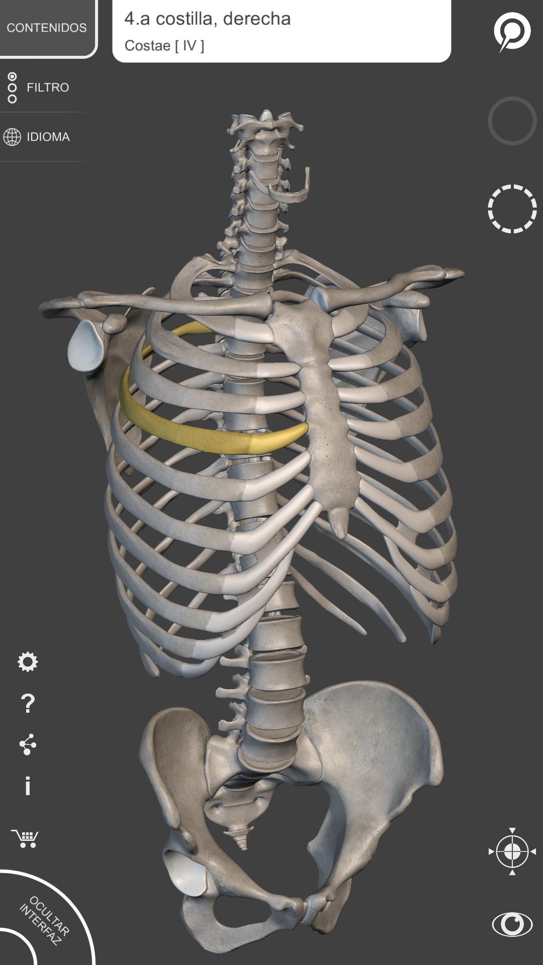 Android application Skeletal System - 3D Anatomy screenshort