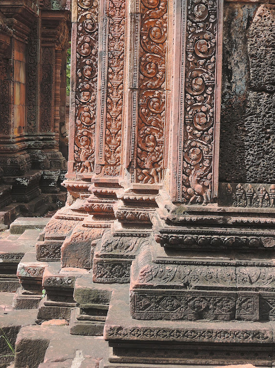 Strangler fig tree roots at Ta Prohm temple