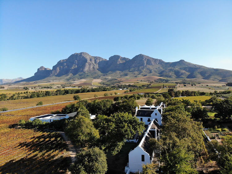 Vrede en Lust Wine Estate.