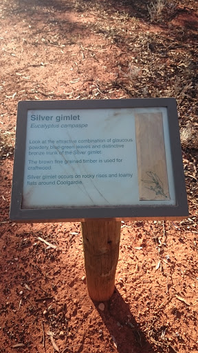 Silver Gimlet