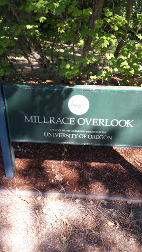 Millrace Park Overlook