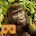 Virtual Gorilla (Cardboard)