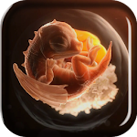 Embryo Dragon Live Wallpaper Apk