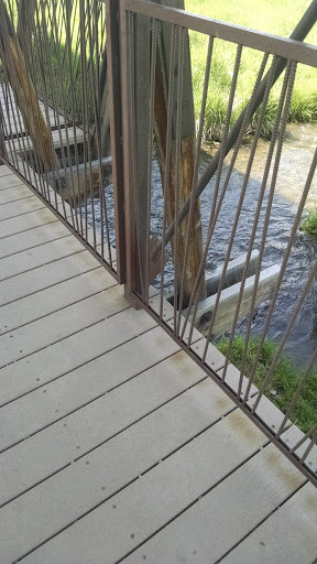 Creek Bridge 