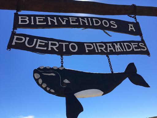 Bienvenidos A Puerto Pirámides