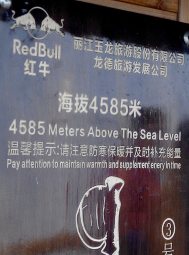 4585 Sea Level Sign