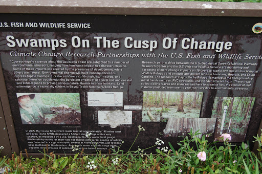 Cypress-tupelo swamps along the Louisiana coast are subjected to a number of environmental stressors, ranging from hurricane impact to saltwater intrusion. Some of these impacts are created by the...