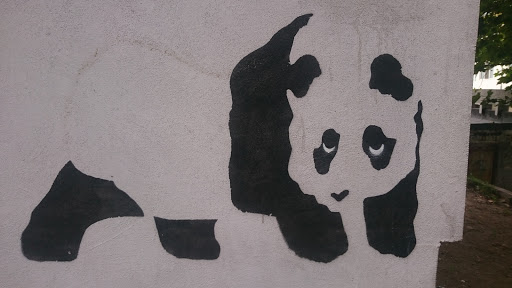 Panda Wall