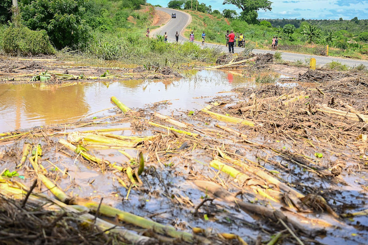Banana crops washed away by floods at Madumadu in Jilore ward, Kilifi county.