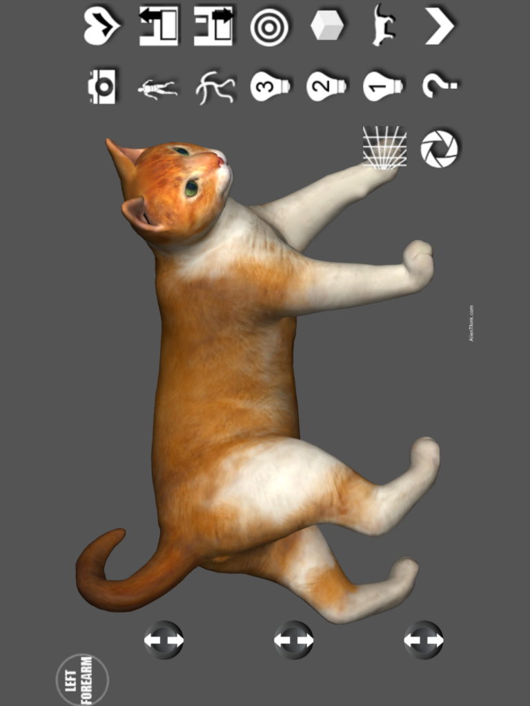 Android application Cat Pose Tool 3D screenshort
