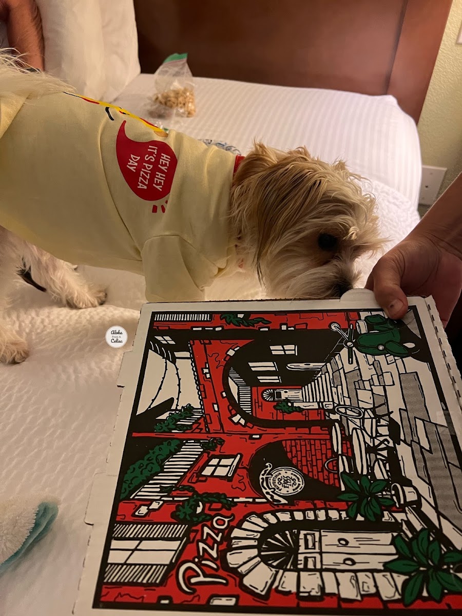 GF pizza delivery inspection from Hōkū 🐶