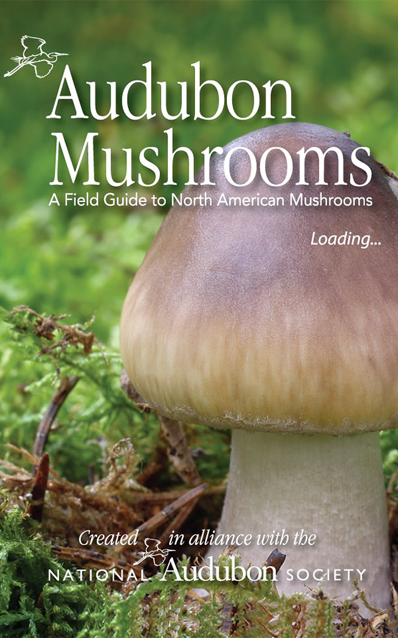 Android application Audubon Mushrooms screenshort