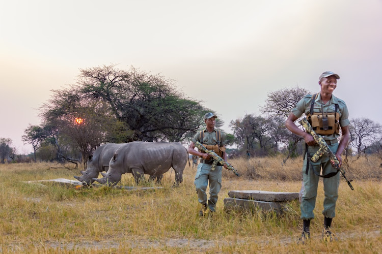 The rhino enjoy 24/7 protection by the Cobras Community Wildlife Protection Unit.