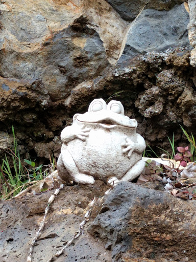 Kula Buddah Frog