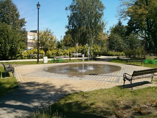 Fontanna W Parku Miejskim