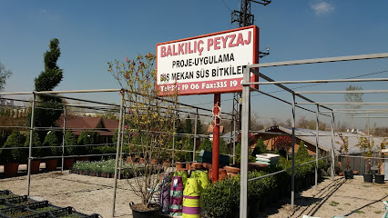 Balkılıç Peyzaj