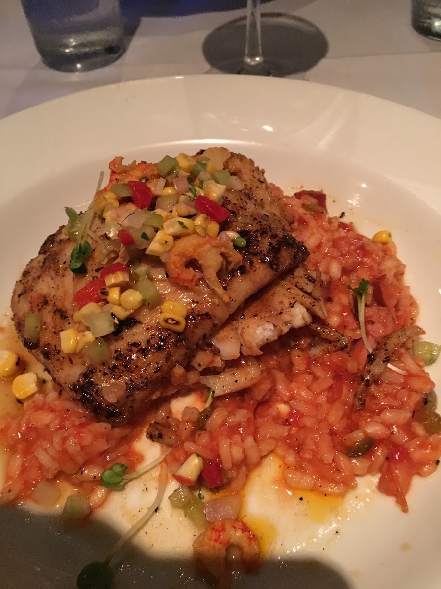 Grouper with risotto