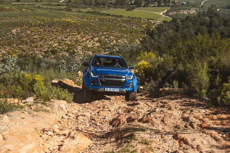 Flagship Isuzu towers over regular passenger cars.