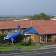 Blue Whale Motor Inn & Apartments