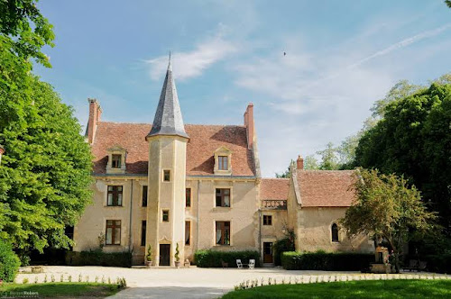 hôtels Château Le Sallay Saincaize-Meauce