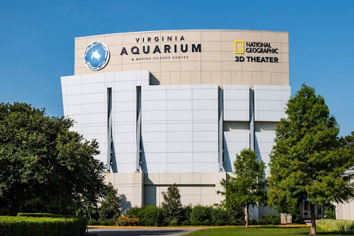 Aquarium «Virginia Aquarium & Marine Science Center», reviews and photos, 717 General Booth Blvd, Virginia Beach, VA 23451, USA