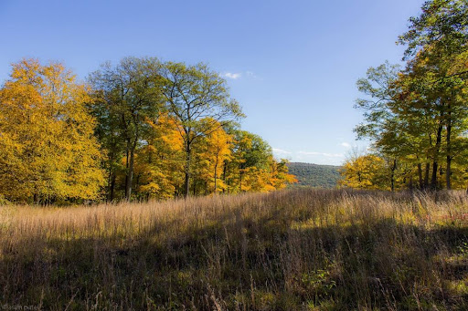 Park «Dater Mountain nature Park And Harriman State Park», reviews and photos, Johnsontown Rd, Sloatsburg, NY 10974, USA