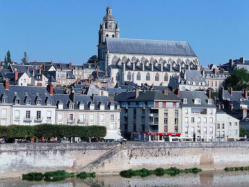 Hôtel ibis Blois Vallée Maillard à Blois