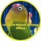 Download Lovebird Ngekek Panjang Terbaru For PC Windows and Mac 1.0