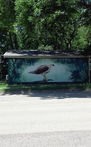 Eagle mural