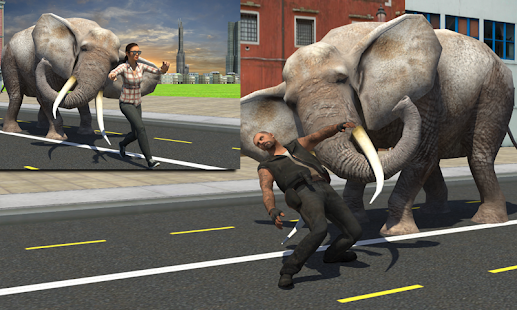 Elephant Racing Simulator 2016