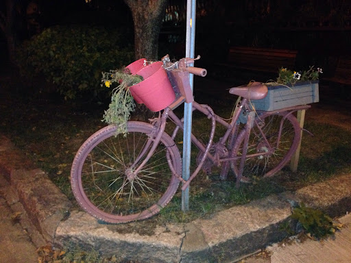 Pink bike