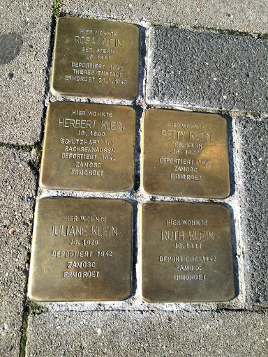 Stolpersteine Familie Klein 