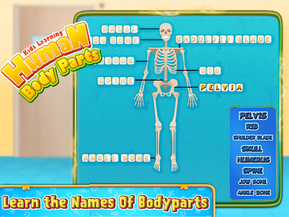 Kids Human Body Parts: Learning Game Screenshot