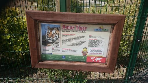 Tiger Enclosure