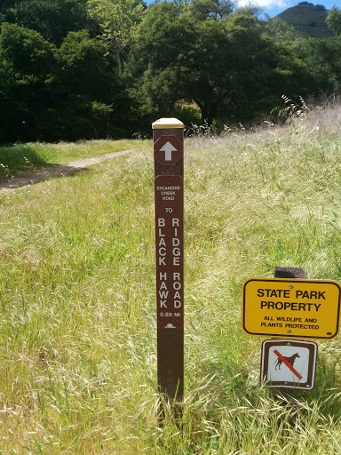 Blackhawk Ridge Road Trailhead