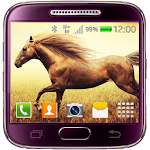 Horses Live Wallpaper Apk