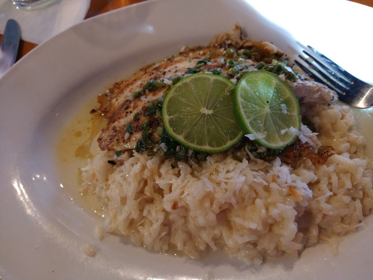 BARRAMUNDI RODRIGO with coconut lime risotto