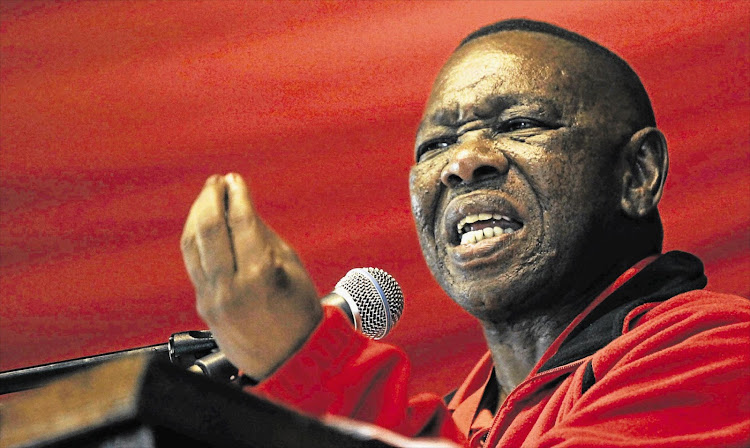 SACP general secretary Blade Nzimande says South Africa was on the verge of being turned into a mafia state