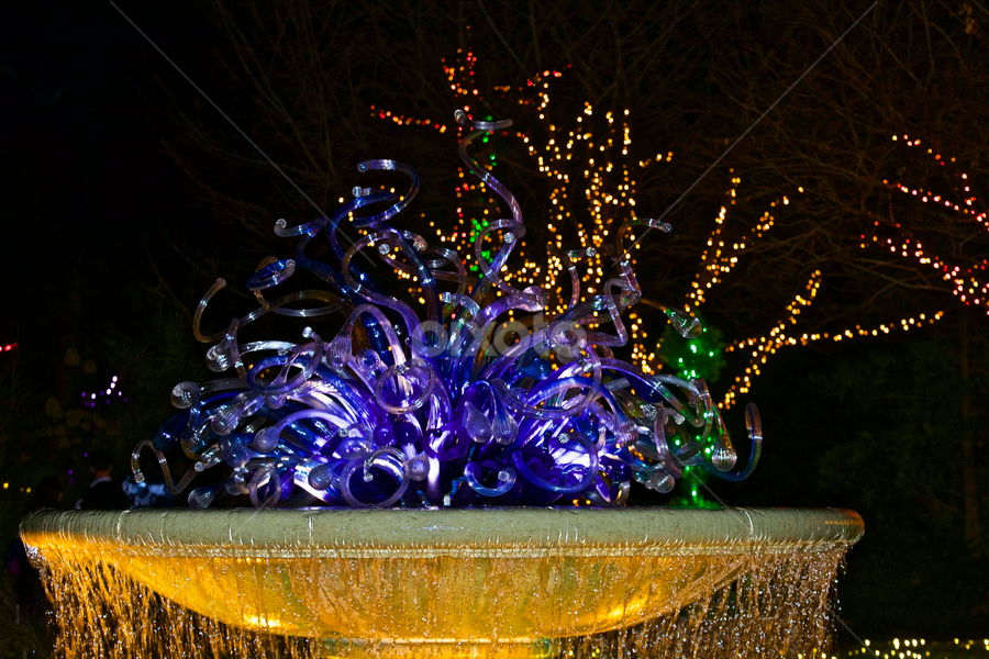 Chilulli Fountain Atlanta Botanical Garden Glass Artistic