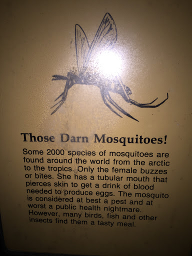 IRB Those Darn Mosquitoes