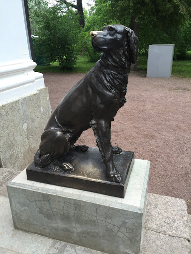 Собака. скульптор Вольф