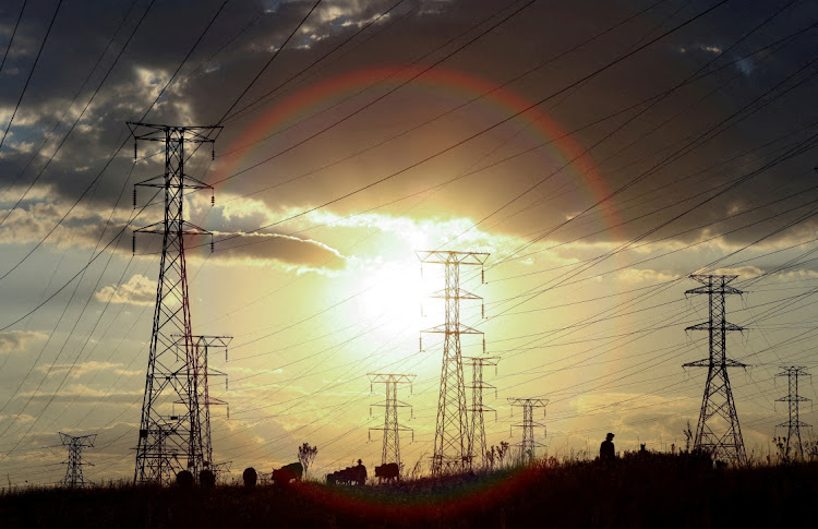 FILE PHOTO: Electricity pylons