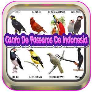 Download Canto De Passaros de Indonesia For PC Windows and Mac
