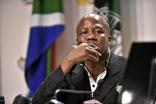 Minister in the presidency Jackson Mthembu's eldest daughter committed suicide six months ago.
