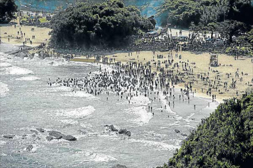 RISKY SWIM: Visitors pack Port St Johns’ Second Beach, the day after yet another shark attack there. About eight people have been killed by sharks in the past 10 years Picture: JOHN COSTELLO